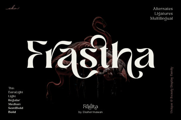 Frastha: Crafting Brand Identity with Cultural Flair