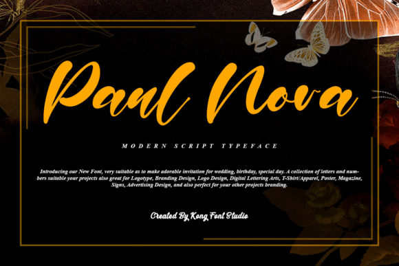 Paul Nora: The Playful Handwritten Script Font